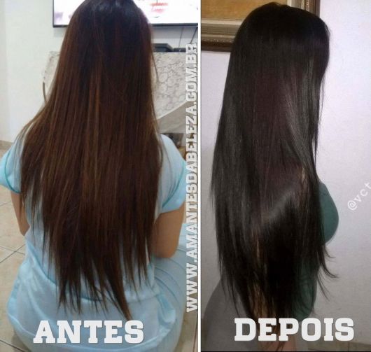 Evolução