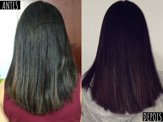 Evolução